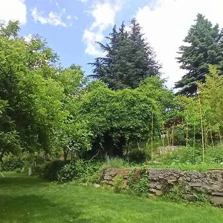 Forest House Σπίτι διακοπών